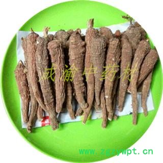 红皮白芷  四级货 重庆市产图3