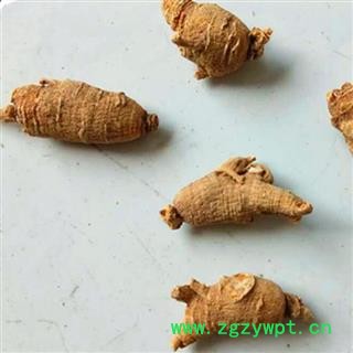 西洋参 花旗参4-6克圆粒 产地 加拿大图3