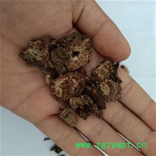 产地直销 羌活【广生堂中药材】批发零售中药材四川羌活500 g图4