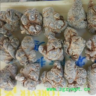 三七40头 水洗三七40头春七 滑头 足干 未打蜡（1斤正好40个）( 下单送量勺 ) 产地直销 云南省文山壮族苗族自治州文山市图4