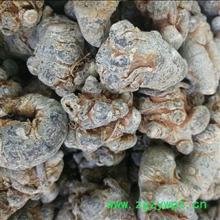 三七40头 水洗三七40头春七 滑头 足干 未打蜡（1斤正好40个）( 下单送量勺 ) 产地直销 云南省文山壮族苗族自治州文山市图2