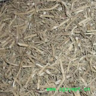 白前 统 产地 湖北省咸宁市咸安区图2