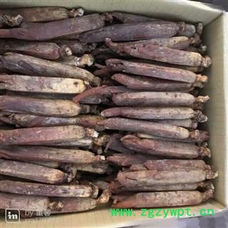 高丽参 正宗高丽参单只重40-45克 产地 吉林省白山市抚松县图2