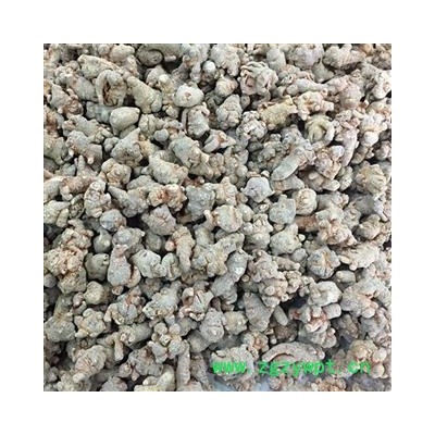 三七 三七30头 产地 云南省文山壮族苗族自治州文山县