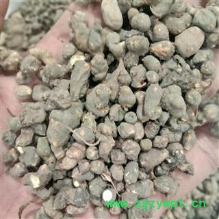 夏天无 夏天无统货 产地 江西省新余市分宜县图2