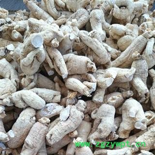 西洋参 西洋参小货5-8克 产地 吉林省白山市抚松县图2