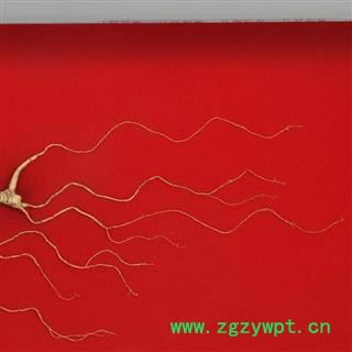 人参 长白山百年野山参5克左右 产地直供，纯正品，假一赔十图2