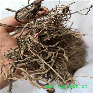 促销供应中药材小红参云南滇紫参小活血小红药一件代发图2