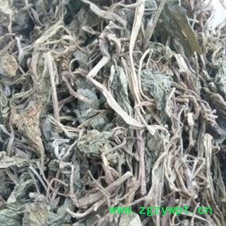 问心堂药业供应乌青莲 乌蜜莲 台湾品种 东北货绝产！！图3