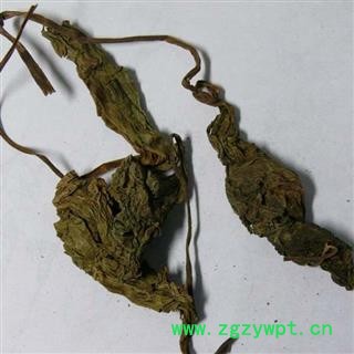 问心堂药业供应乌青莲 乌蜜莲 台湾品种 东北货绝产！！图2