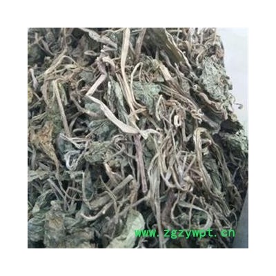 问心堂药业供应乌青莲 乌蜜莲 台湾品种 东北货绝产！！