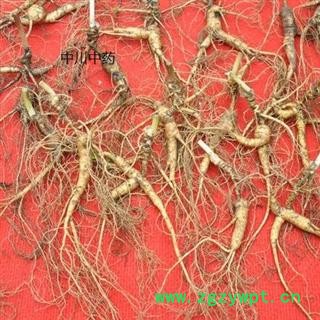 野山参，精品送礼首选图3