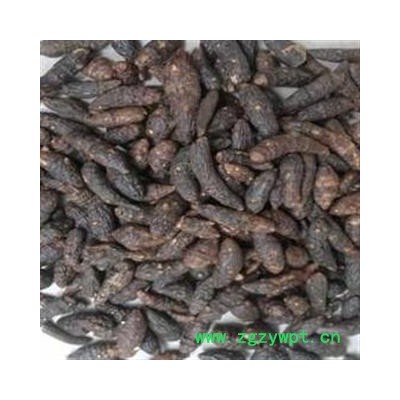 好香附    广西一级原统库存5000可售