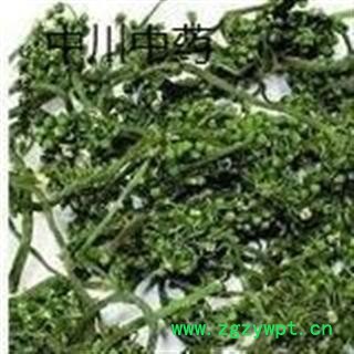 人参花   产地吉林  库存500可售图2