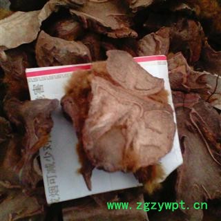 狗脊   广西一级统片  库存5000可售图2