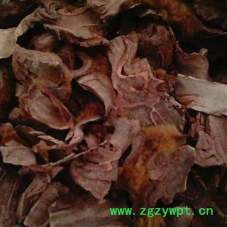 狗脊   广西一级统片  库存5000可售图3