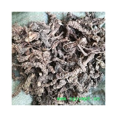 康源堂药业缬草 正品 无毛光缬草 别称-拔地麻 蜘蛛香 小救驾 鹿子草 臭草