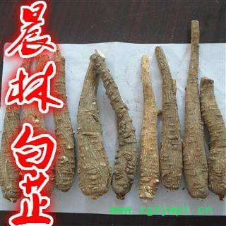 川白芷之遂宁白芷选装一二三级 道地白芷 产地直销 常年有大货 遂宁市船山区图2