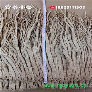 党参,甘肃无硫大条0.8-1.0,产地,甘肃省定西市陇西县图2