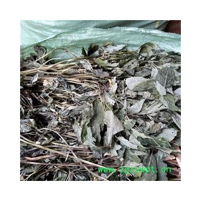 （包邮）三七 特级三七叶 产地 云南省文山壮族苗族自治州文山县 库存 8000公斤可售