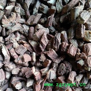 丹参 选 产地 山东省图2