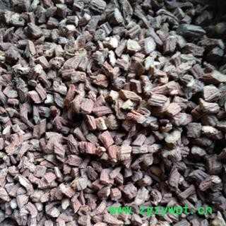 丹参 选 产地 山东省图4