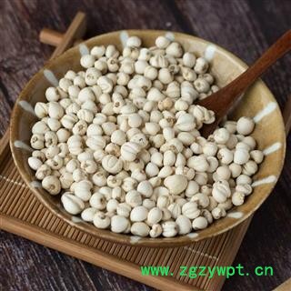 川贝母 选个装 产地 四川省攀枝花市米易县图2