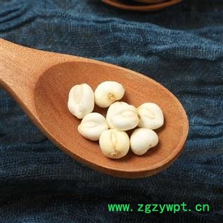 川贝母 选个装 产地 四川省攀枝花市米易县图3