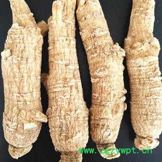 西洋参 西洋参短枝中结13-15克 产地 吉林省白山市抚松县图3