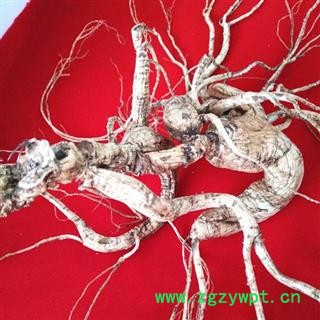 人参 百年野山参，参龄超过百年干品重80克以上，精美礼盒包装 产地 吉林省白山市抚松县图2