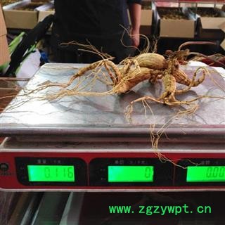 人参 百年野山参，参龄超过百年干品重80克以上，精美礼盒包装 产地 吉林省白山市抚松县图3