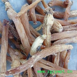 红参 红参纯无糖80-100支以上 产地 吉林省白山市抚松县图3