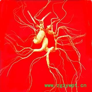 人参 百年野山参，干品重70克以上，国家权威鉴定，精美礼盒 产地 吉林省白山市抚松县图2