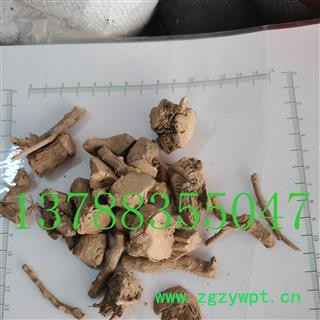 枸杞根 好统货 产地 广西壮族自治区桂林市市辖区图4