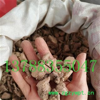 枸杞根 好统货 产地 广西壮族自治区桂林市市辖区图3