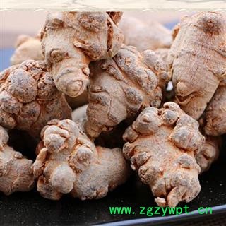 三七20头 水洗三七20头 狮子头 标准20头春七 足干 未打蜡（1斤正好20个） ( 下单送量勺 )  产地直销 云南省文山壮族苗族自治州文山县图2