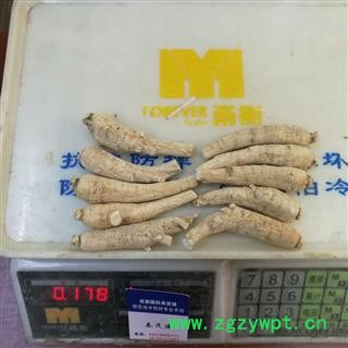 西洋参15克中支 国产西洋参15克中支 产地 吉林省白山市抚松县图2