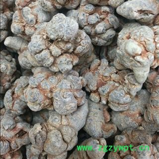 三七15头 水洗三七15头产地 云南省文山壮族苗族自治州文山县图4