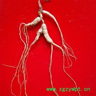 人参，产地直销，长白山野山参，正宗品质，假一赔十图2