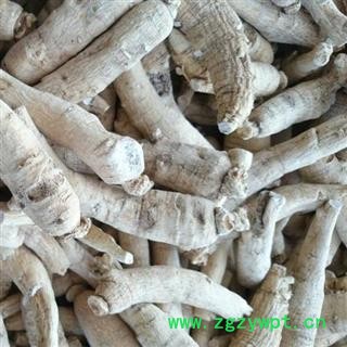 西洋参 西洋参长支10-20g纯干，无杂质 产地 吉林省白山市抚松县图3