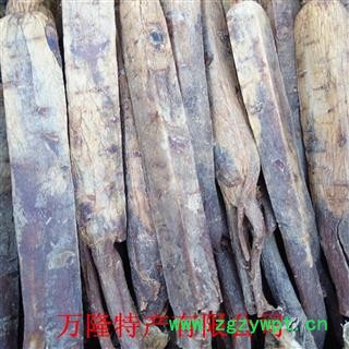 高丽参 20支精品无糖高丽参，产地直供，假一赔十 产地 吉林省白山市抚松县图2