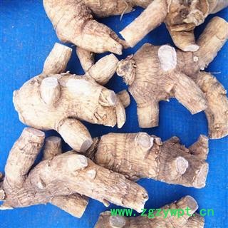 西洋参 剪尾25克粒头，产地直供假一赔十 产地 吉林省白山市抚松县图3