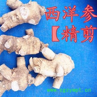 西洋参 剪尾25克粒头，产地直供假一赔十 产地 吉林省白山市抚松县图2