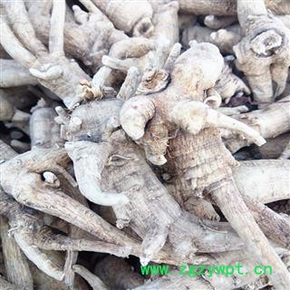 西洋参 西洋参粒头30-35克 产地 吉林省白山市抚松县图3