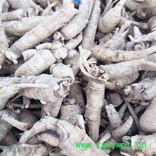 西洋参 西洋参粒头30-35克 产地 吉林省白山市抚松县图2