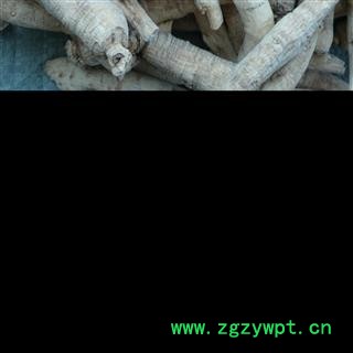 西洋参 西洋参长支16-20g 产地 吉林省白山市抚松县图3