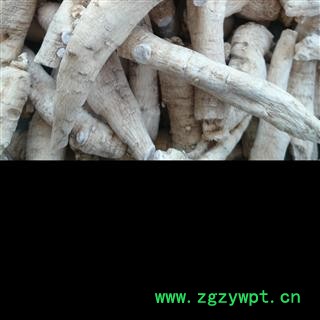 西洋参 西洋参长支16-20g 产地 吉林省白山市抚松县图2