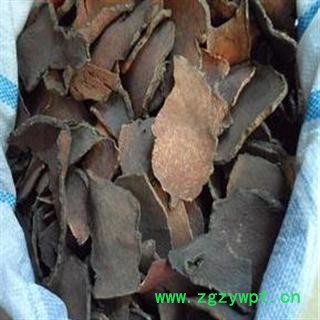 中药材红药子 ，署粮,红孩儿药材批发零售图2