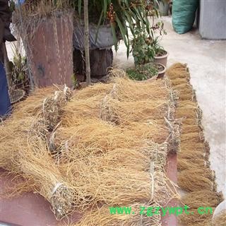 龙胆草 选装，切片。个子 批发零售各种规格 龙胆草 中药材 花茶 矿石 产地 云南省玉溪市图2