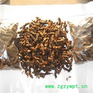 野生蝼蛄   高含量 药厂大货  库存500可售图2